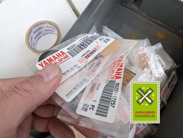 PXL_20240528_172545324